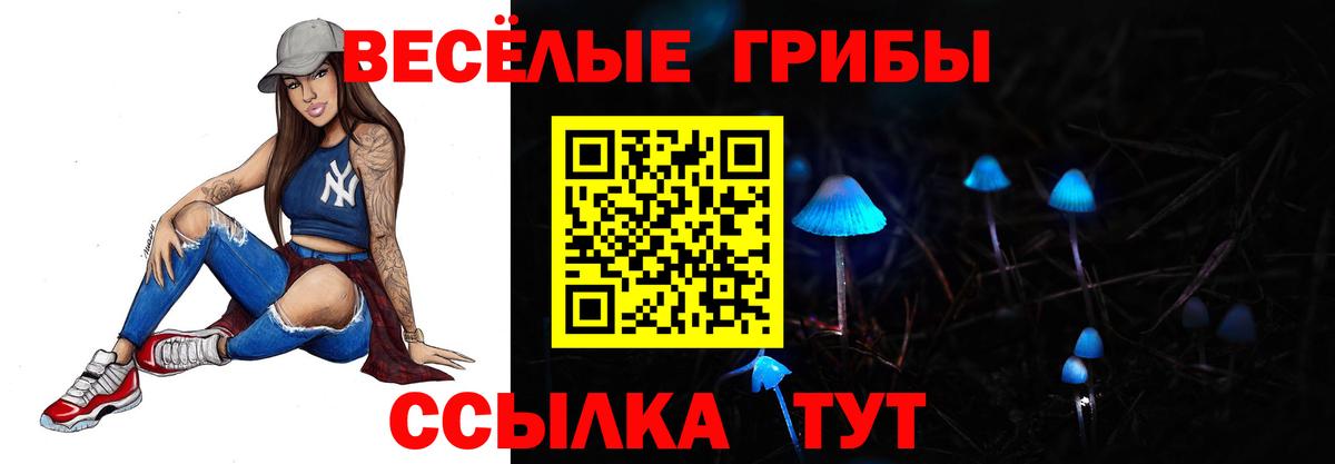 где купить наркоту  Вход с VPN  Рассказово  Галлюциногенные грибы Magic Shrooms  Псилоцибиновые грибы ЛСД 